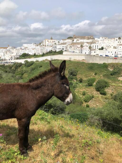 Casita Tacande - Una Bonita Casita Situada En El Casco Antiguo De Vejer De La Frontera Εξωτερικό φωτογραφία